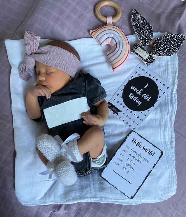 Harley Rose Harley Rose